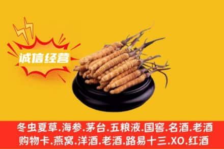 三明泰宁县回收冬虫夏草